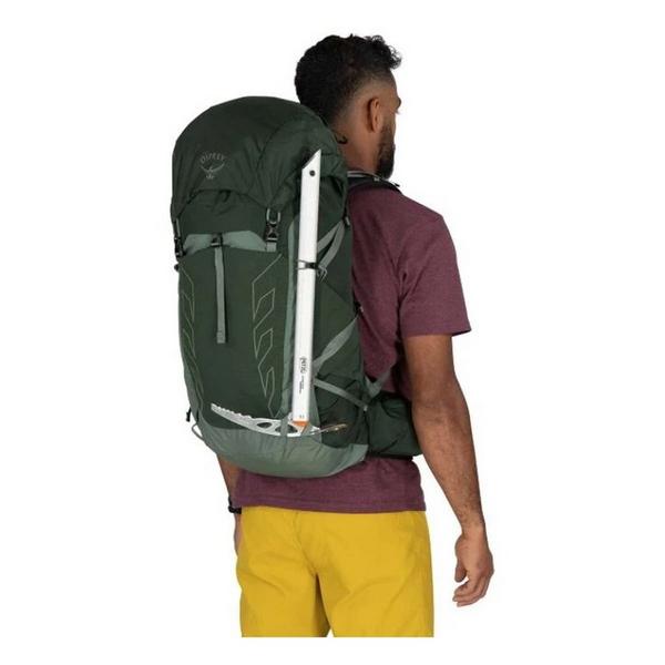 Osprey Talon 33 Backpack Green Canopy/Pine Leaf