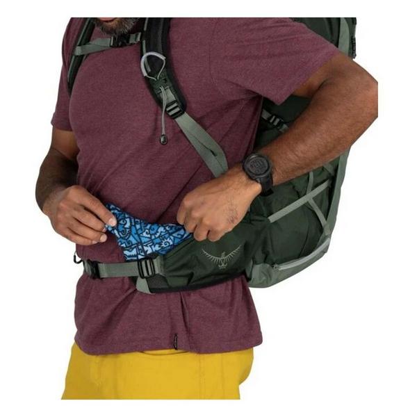Osprey Talon 33 Backpack Green Canopy/Pine Leaf