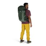 Osprey Talon 33 Backpacking Backpack - Thumbnail 7 of 7