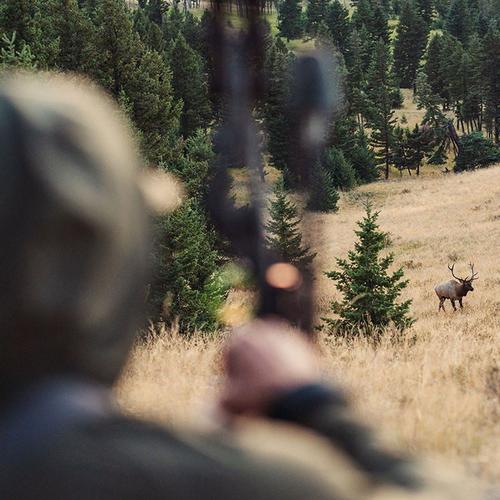 Men's Stone Glacier Halo Sun Hoody - Primary Image