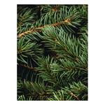 Pura x The Met Diffuser Refill - Thumbnail 1 of 2