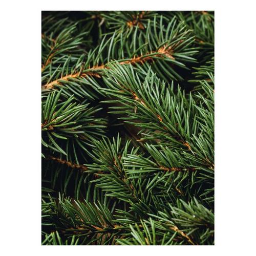 Pura x The Met Diffuser Refill - Primary Image