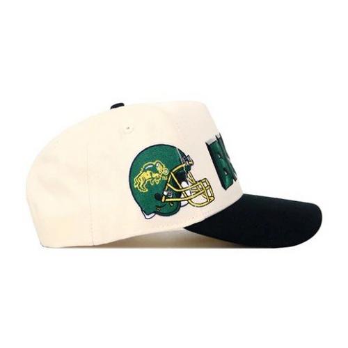 NO RIVALS North Dakota State Bison Alma Mater Adjustable Hat - Primary Image