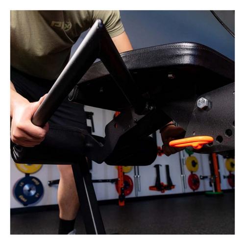 PRx Leg Curl/Extension - Primary Image