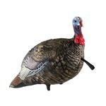 Avian-X LCD Jake Quarter Strut Turkey Decoy - Thumbnail 1 of 3