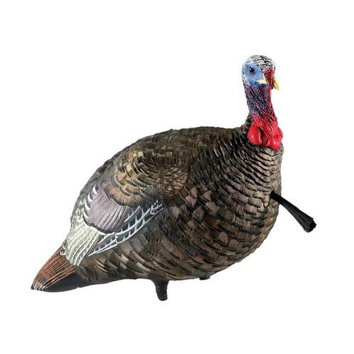 Avian-X LCD Jake Quarter Strut Turkey Decoy - Primary Image