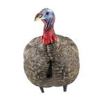 Avian-X LCD Jake Quarter Strut Turkey Decoy - Thumbnail 2 of 3
