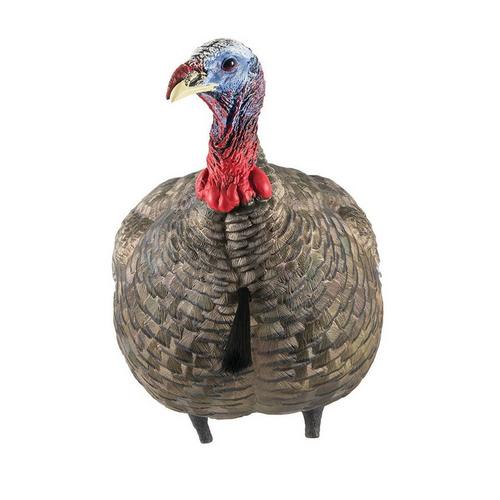 Avian-X LCD Jake Quarter Strut Turkey Decoy - Primary Image