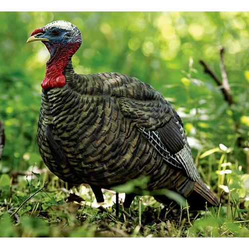 Avian-X LCD Jake Quarter Strut Turkey Decoy - Primary Image