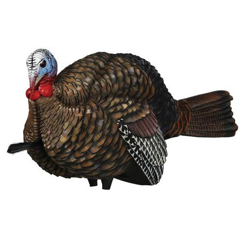 Avian-X LCD Half Strut Jake Turkey Decoy - Primary Image