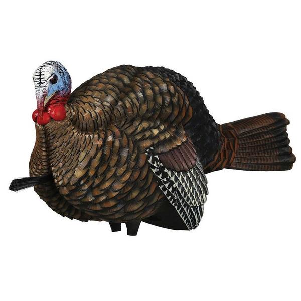 Avian-X LCD Half Strut Jake Turkey Decoy