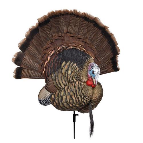 Avian-X Trophy Tom Mount Turkey Decoy - Primary Image