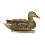 Avian-X Topflight Open Water Mallard Decoy 6-Pack - Thumbnail 2 of 3