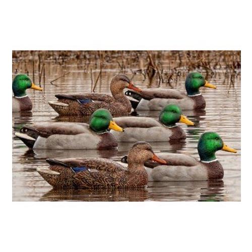 Avian-X Topflight Open Water Mallard Decoy 6-Pack - Primary Image