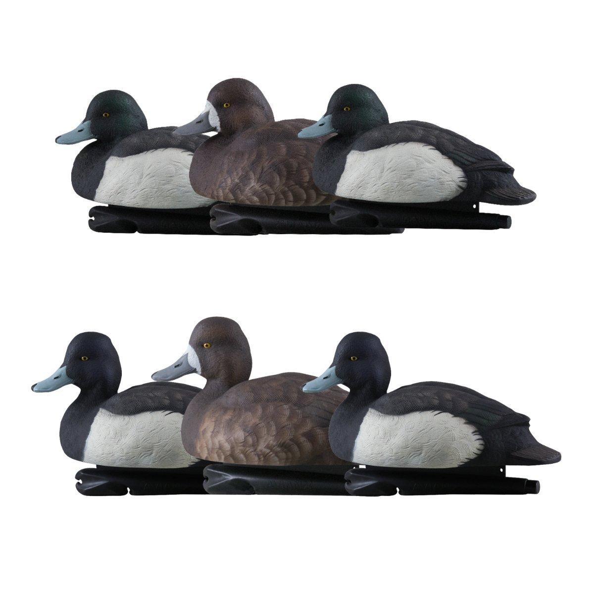 Avian-X Topflight Blue Bill Duck Decoys 6 Pack