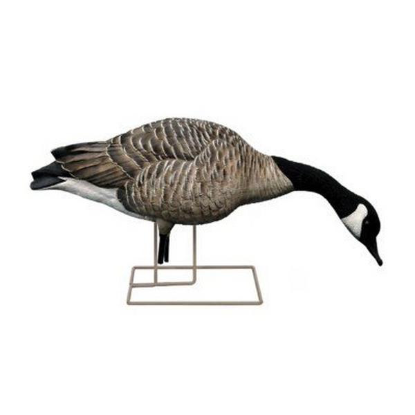 Avian-X AXP Honker Fusion Canada Goose Decoy 6 Pack