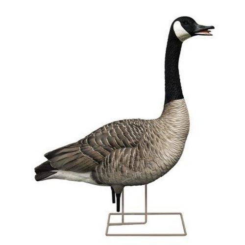 Avian-X AXP Honker Fusion Canada Goose Decoy 6 Pack - Primary Image
