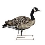 Avian-X AXP Honker Fusion Canada Goose Decoy 6 Pack - Thumbnail 4 of 5