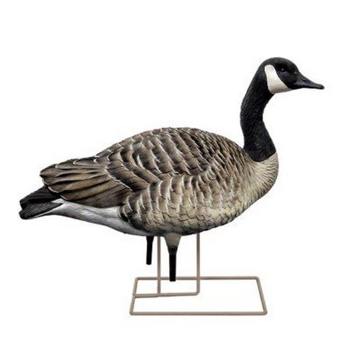 Avian-X AXP Honker Fusion Canada Goose Decoy 6 Pack - Primary Image