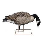Avian-X AXP Honker Fusion Canada Goose Decoy 6 Pack - Thumbnail 5 of 5