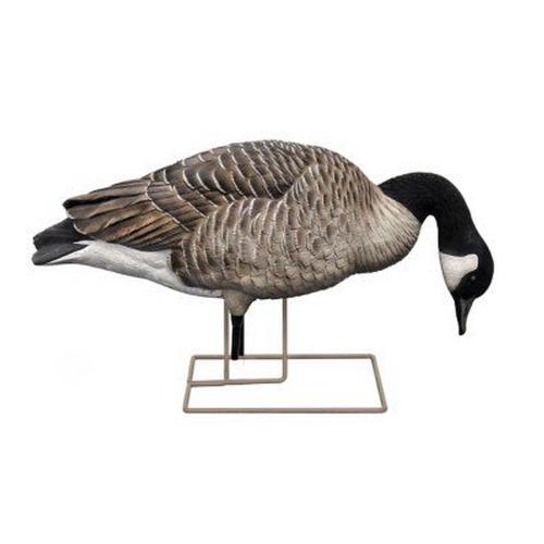 Avian-X AXP Honker Fusion Canada Goose Decoy 6 Pack - Primary Image