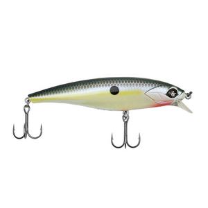 Native Shad - Googan Squad Scout