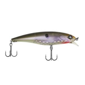 Native Shad - Googan Squad Jr. Scout