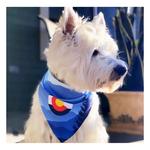 Walk-e-Woo Sport Bandana - Thumbnail 3 of 3