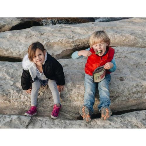 Packit Gourmet Meyer Lemon Cheesecake - Primary Image