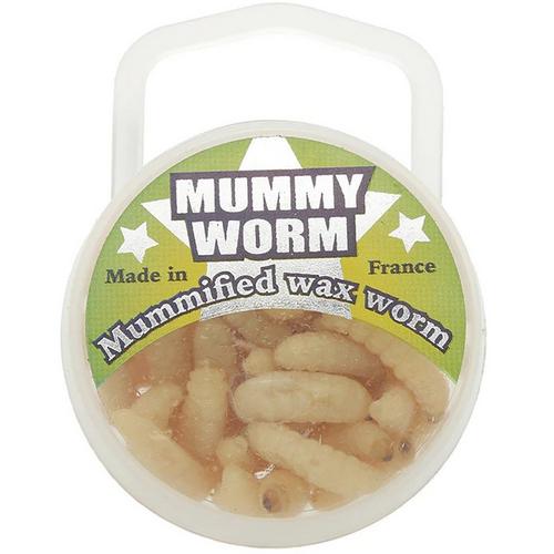 Mummy Worm - Primary Image