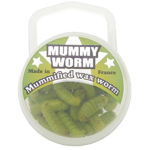 Mummy Worm - Primary Image