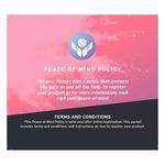 RIP-IT Vision Classic Softball Batting Helmet 2.0 - Thumbnail 3 of 5