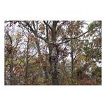 Muddy Diamondback Safety Harness - Thumbnail 4 of 4