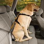 Kurgo Dog Seat Belt Loop - Thumbnail 2 of 2