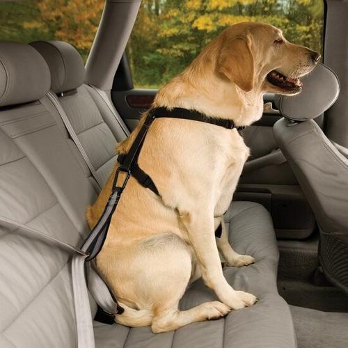 Kurgo Dog Seat Belt Loop - Primary Image