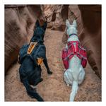 Kurgo Big Baxter K9 Dog Pack - Thumbnail 5 of 5