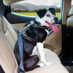 Kurgo Impact Dog Car Harness - Thumbnail 2 of 4