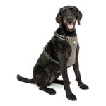Kurgo Impact Dog Car Harness - Thumbnail 4 of 4
