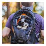 Kurgo G-Train Pet Carrier Backpack - Thumbnail 5 of 5
