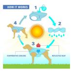 Kurgo Core Cooling Dog Vest - Thumbnail 4 of 6
