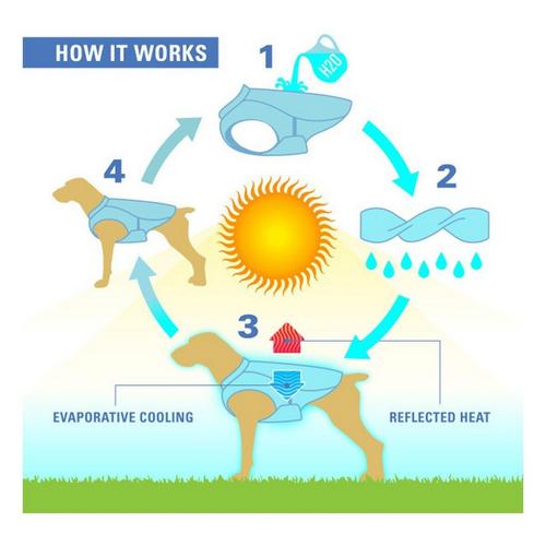 Kurgo Core Cooling Dog Vest - Primary Image