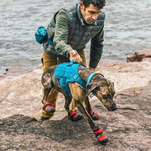 Kurgo RSG Dog Townie Harness - Primary Image