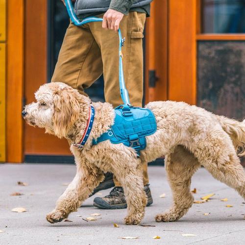 Kurgo RSG Dog Townie Harness - Primary Image