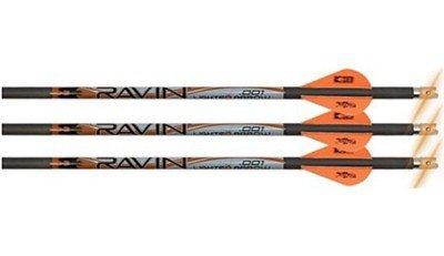 Ravin .001 Lighted Crossbow Bolts