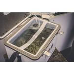 Engel 7.5 Qt Live Bait Cooler - Thumbnail 4 of 7