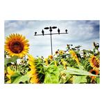 MOJO Outdoors Dove Tree with Bag - Thumbnail 7 of 7