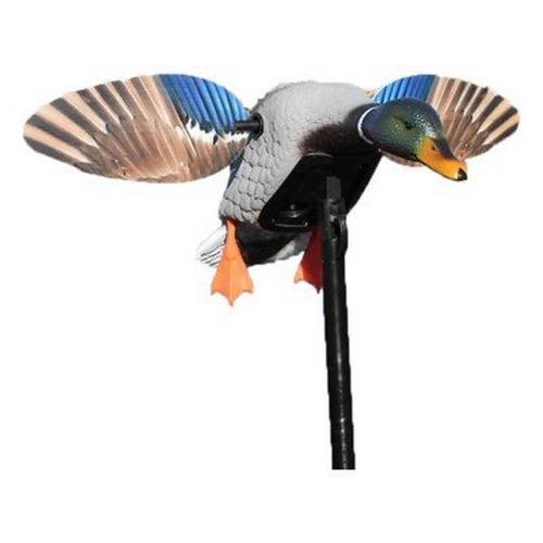 MOJO Outdoors Elite Series Mini Drake Mallard Duck Decoy - Primary Image