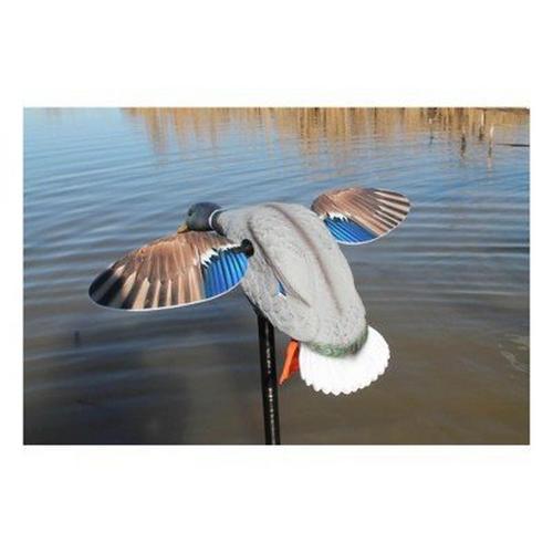MOJO Outdoors Elite Series Mini Drake Mallard Duck Decoy - Primary Image