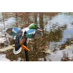 MOJO Outdoors Spoonzilla Spinning Wing Decoy - Thumbnail 6 of 6