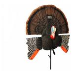 MOJO Outdoors Scoot-N-Shoot MAX Turkey Decoy - Thumbnail 1 of 3